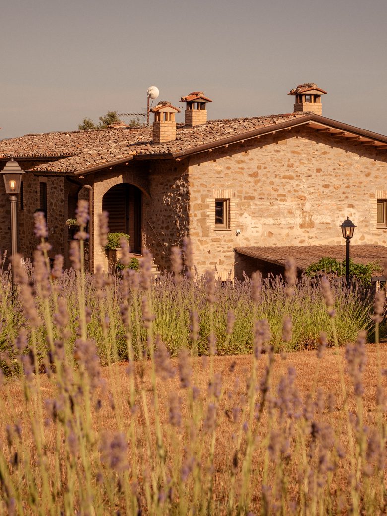 Casa Gaia lavender field